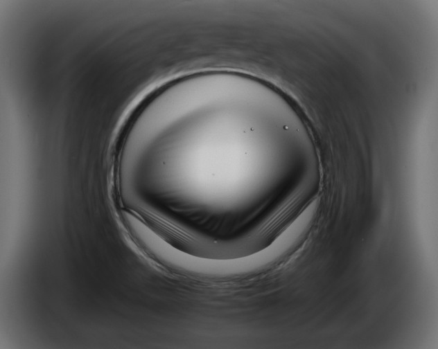 X0000082951511200703020138