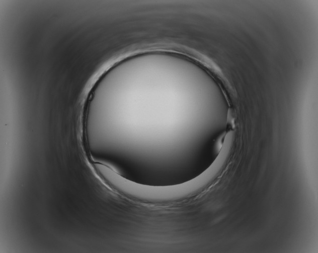 X0000082951512200703020138