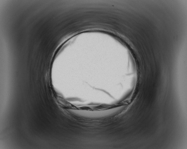 X0000082951513200703020138