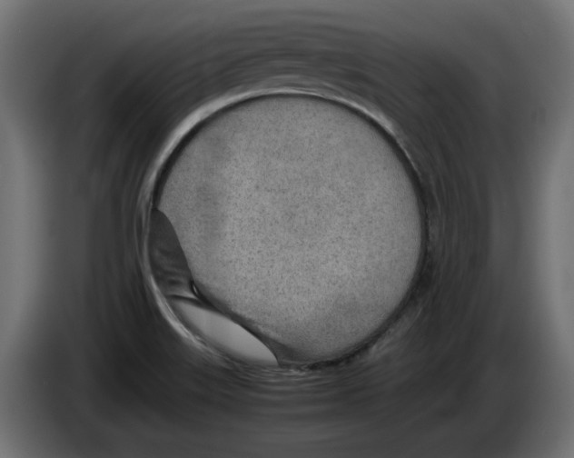 X0000082951515200703020138