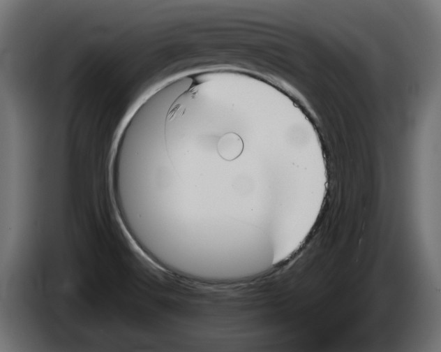 X0000082951516200703020138