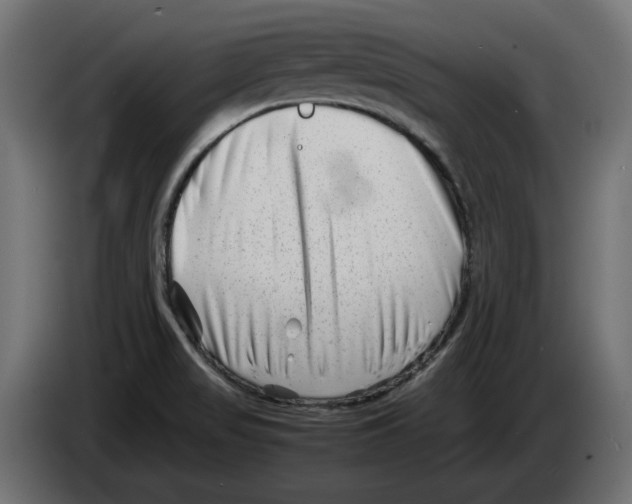 X0000082951517200703020138