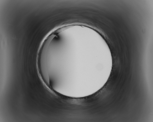 X0000082951518200703020138