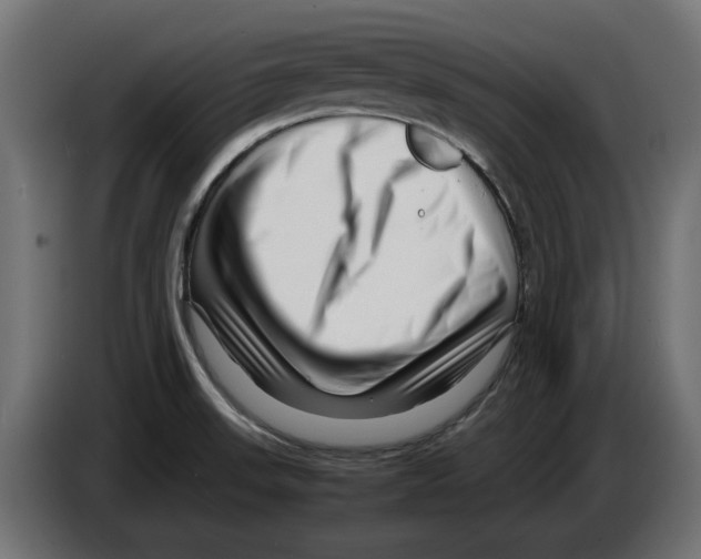 X0000082951523200703020138