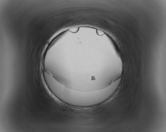 X0000082951526200703020138