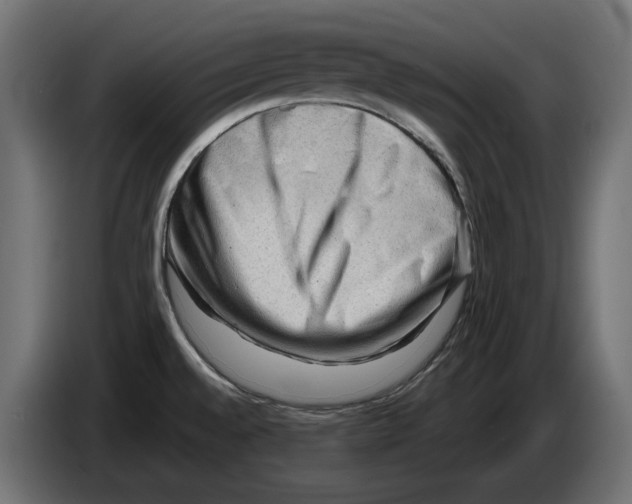 X0000082951528200703020138