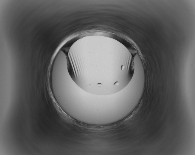 X0000082951530200703020138