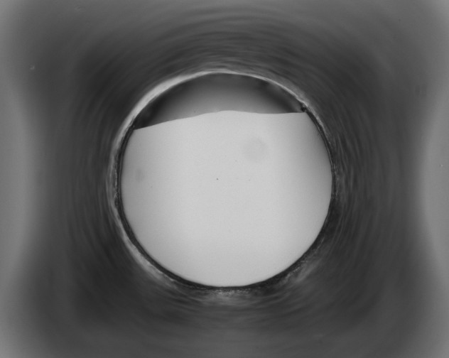 X0000082951531200703020138