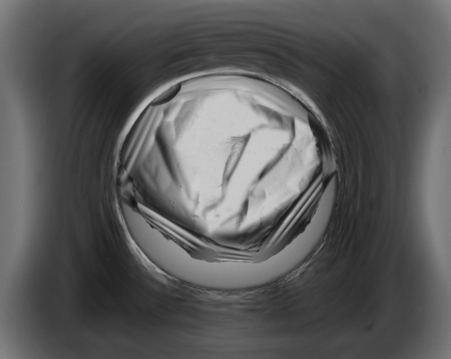 X0000082951532200703020138