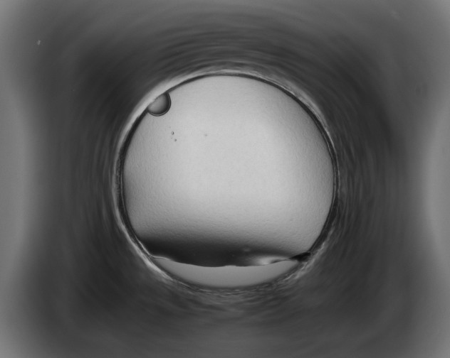 X0000082951533200703020138