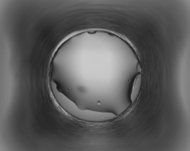 X0000082951534200703020138