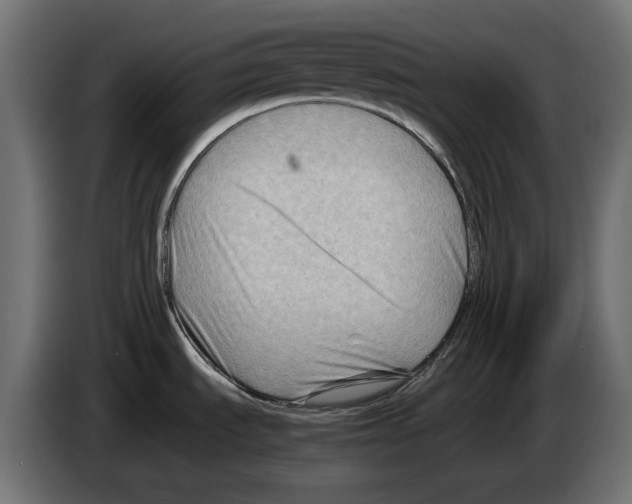 X0000082951535200703020138