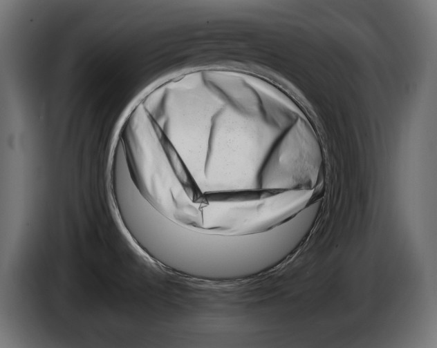 X0000082951536200703020138