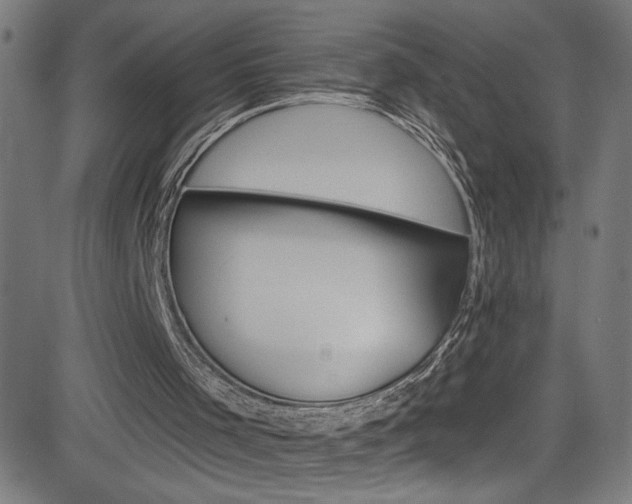 X0000082960001200702011124