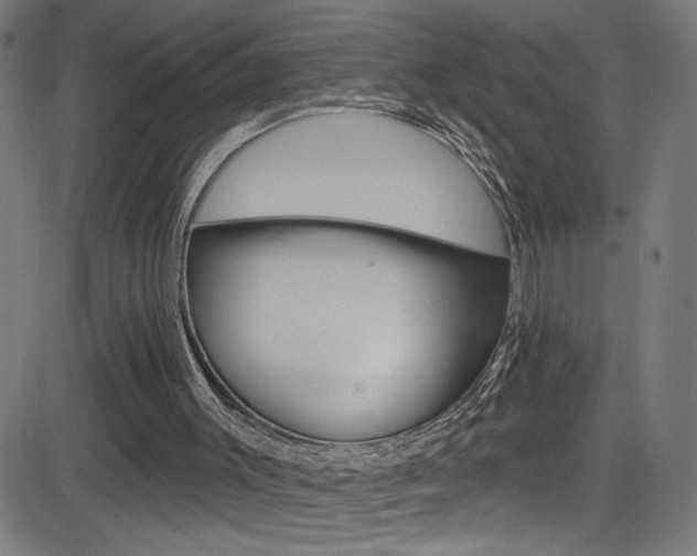 X0000082960003200702011124