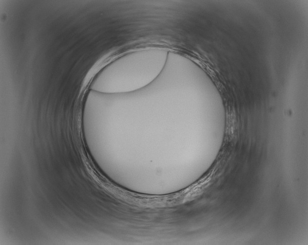 X0000082960004200702011124