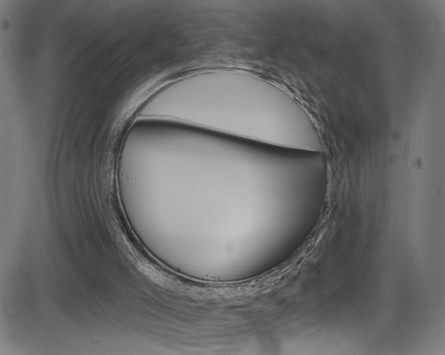 X0000082960005200702011124