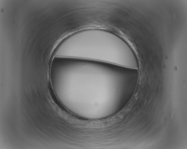 X0000082960011200702011124