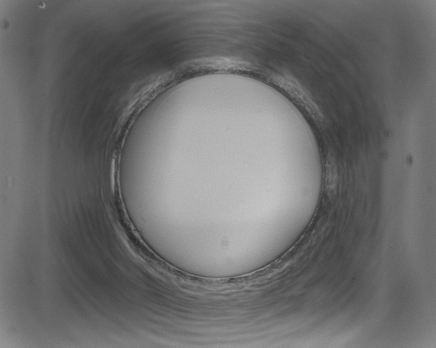 X0000082960014200702011124