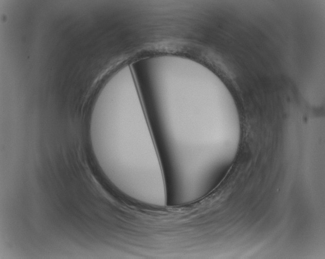 X0000082960020200702011124