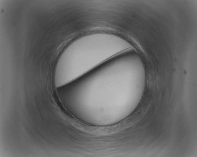 X0000082960023200702011124