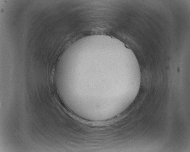 X0000082960038200702011124