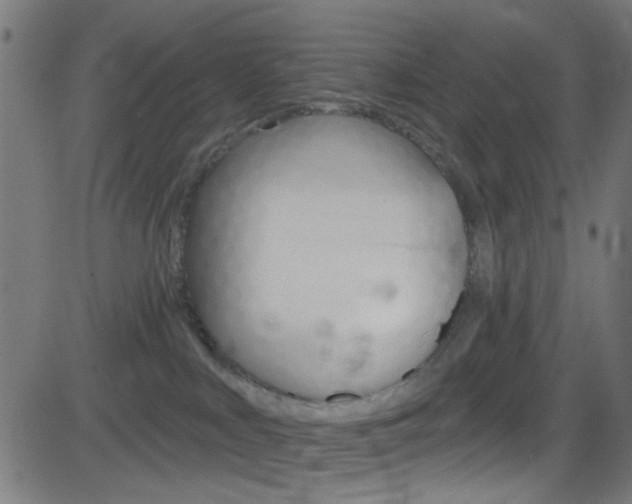 X0000082960043200702011124