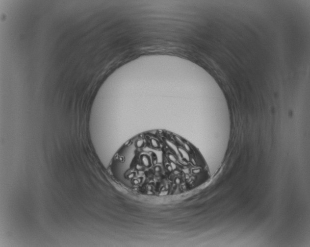 X0000082960045200702011124