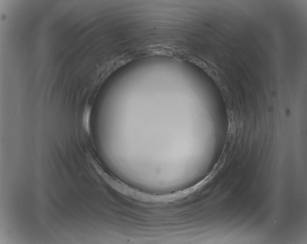 X0000082960047200702011123