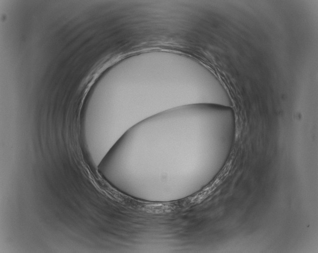 X0000082960050200702011123