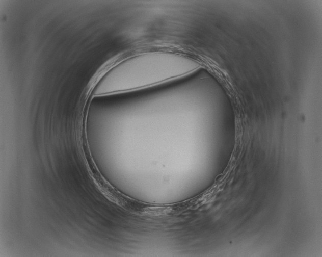 X0000082960051200702011123