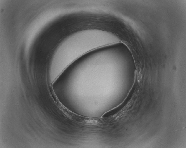 X0000082960052200702011123