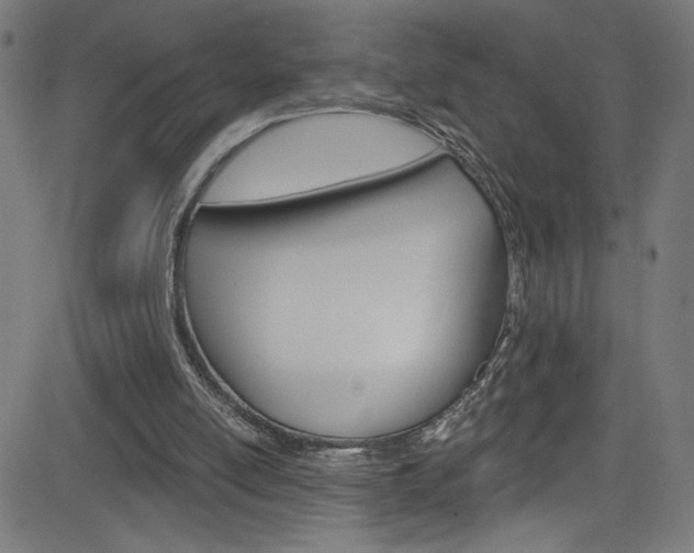 X0000082960054200702011123