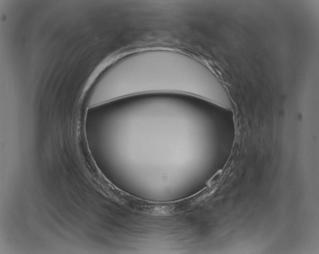 X0000082960056200702011123