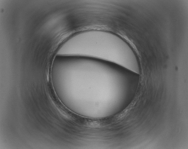 X0000082960062200702011123