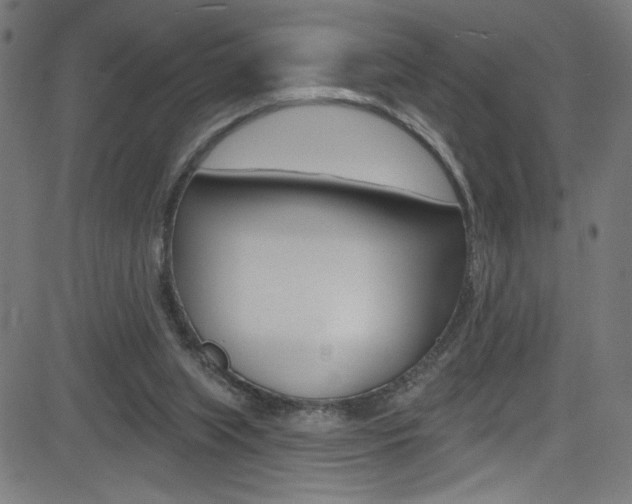 X0000082960063200702011123