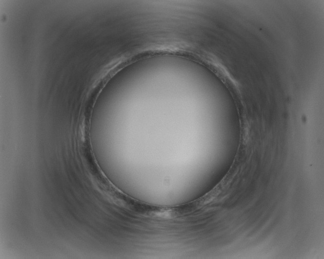 X0000082960068200702011123