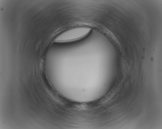 X0000082960071200702011123