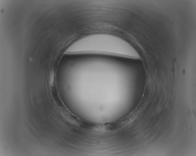 X0000082960076200702011123