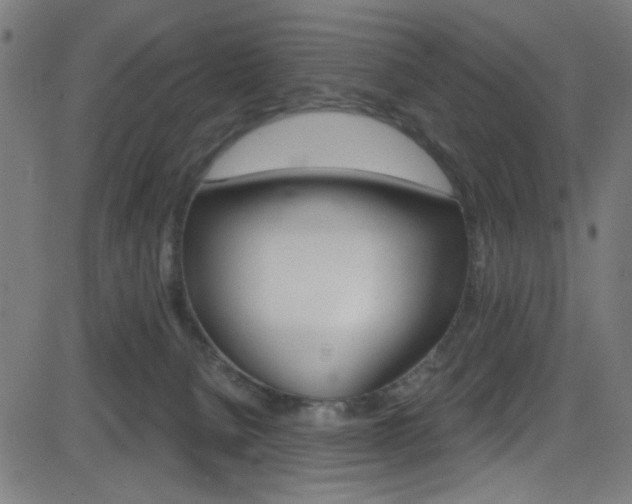 X0000082960080200702011123