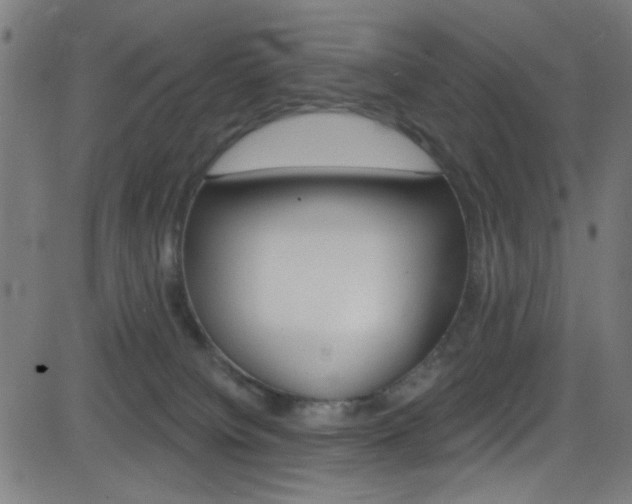 X0000082960084200702011123