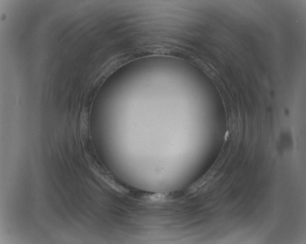 X0000082960092200702011123