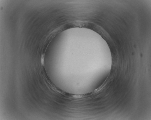 X0000082960095200702011123