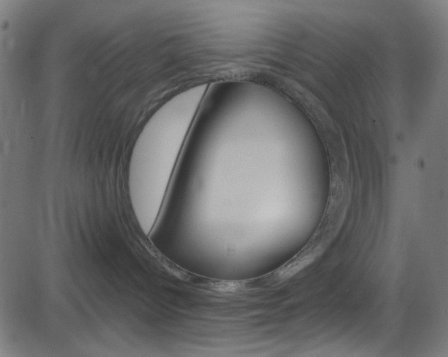 X0000082960096200702011123