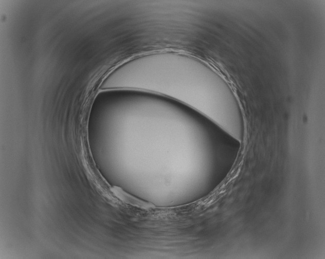 X0000082960097200702011123