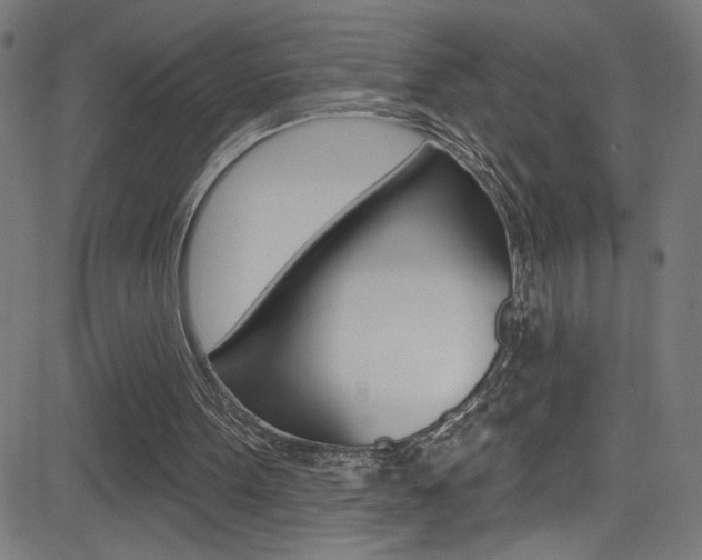 X0000082960099200702011123