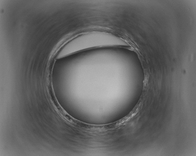 X0000082960101200702011123