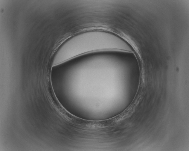 X0000082960105200702011123