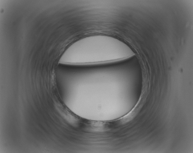 X0000082960144200702011122