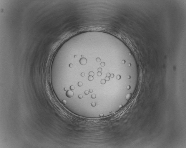 X0000082960145200702011121